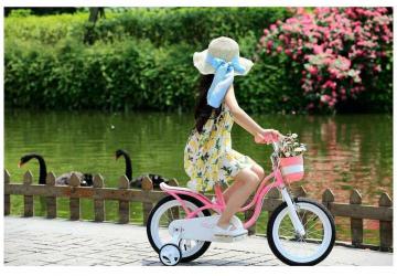 Велосипед для детей Royal Baby Little Swan New 14" - подробный обзор модели, главные характеристики и пользовательские отзывы!