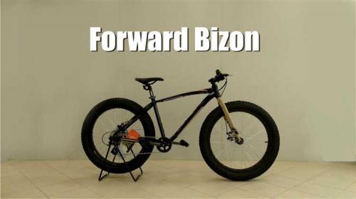Обзор велосипеда Forward Bizon 26 D - характеристики, особенности, отзывы
