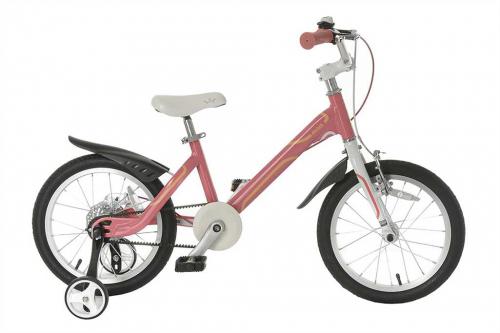 Детский велосипед Royal Baby Mars 20 - подробный обзор модели, характеристики, отзывы родителей и ребенка. Теперь выбор идеального велосипеда станет проще!