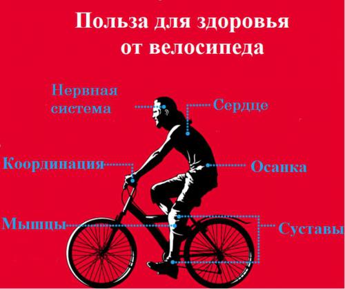 Велосипед для укрепления здоровья - полезность, противопоказания и рекомендации при выборе