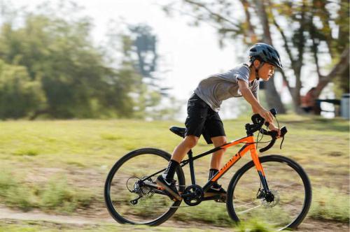 Подростковый велосипед Giant TCX Espoir 24 - большой обзор - характеристики, отзывы и все о модели