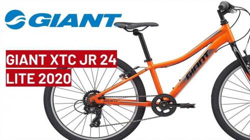 Подростковый велосипед Giant XTC Jr 24 Lite - Обзор модели, характеристики, отзывы