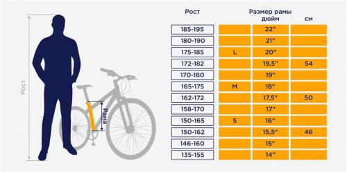 Выбор оптимальной ширины покрышек для шоссейного велосипеда - секреты безопасности, комфорта и скорости