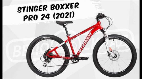 Подростковый велосипед Stinger Boxxer Pro 24