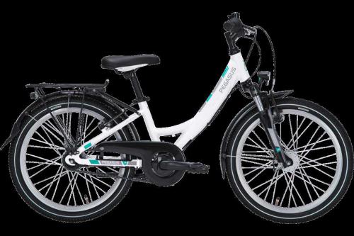 Комфортный велосипед Pegasus Avanti Classico Gent 21 - Обзор модели, характеристики, отзывы