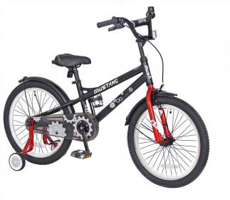 Детский велосипед B Link DSP 01 - полный обзор модели, подробные характеристики и мнения владельцев