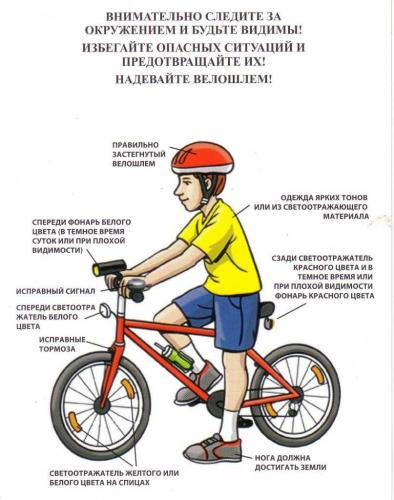 Введение уроков по езде на велосипеде в московских школах - реализация программы для развития физической активности и безопасности детей