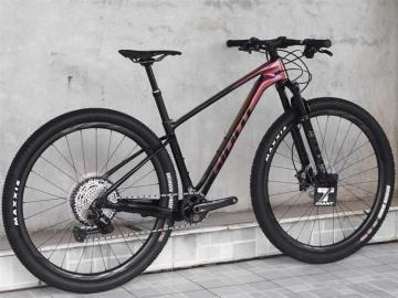 Все о горном велосипеде Giant XTC Advanced 29er 2 GE - подробный обзор, характеристики и отзывы владельцев
