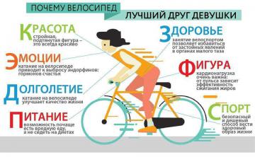 Велосипед делает мир лучше - польза и преимущества велосипедной культуры