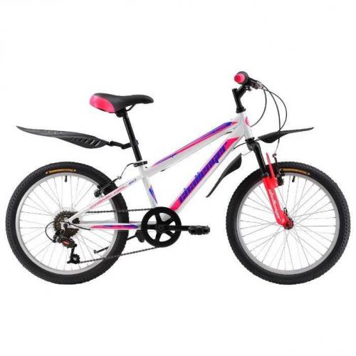 Подростковые велосипеды для девочек Pegasus - Обзор моделей, характеристики