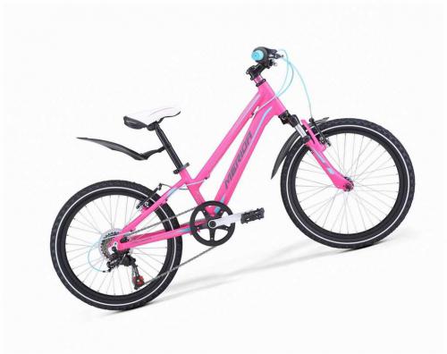 Детский велосипед Merida Matts J20 Eco - обзор модели, характеристики и отзывы покупателей - все, что вам нужно знать перед покупкой!