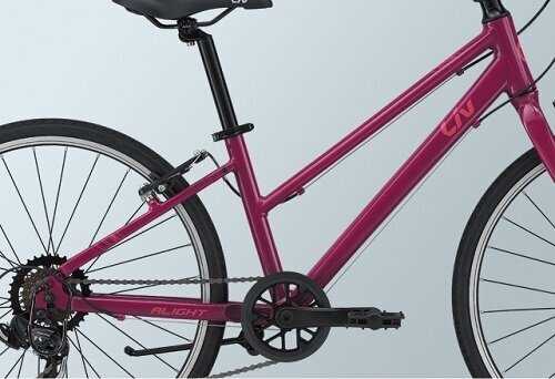 Обзор женского велосипеда Giant Alight Disc 2 City - характеристики, отзывы, сравнение моделей