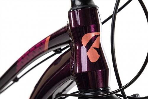 Женский велосипед Aspect Alma - обзор популярной модели с превосходными характеристиками, дизайном и множеством положительных отзывов владелиц