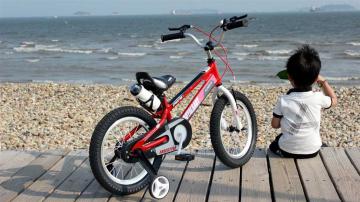 Детский велосипед Royal Baby Freestyle Steel 12" — особенности модели, подробный обзор характеристик и реальные отзывы пользователей