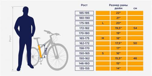 Как правильно выбрать размер велосипеда по росту - гайд с таблицей размеров, особенностями колес и принципами байкфита