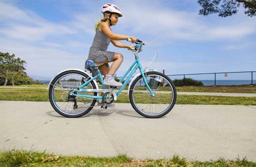Женский велосипед Giant Flourish FS 2 - все о модели от характеристик до отзывов покупателей