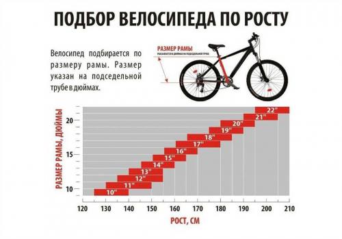 Как правильно выбрать горный велосипед новичку и быть в тренде - актуальные советы и прогнозы на 2024 год