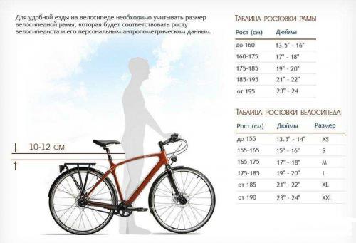 Как выбрать велосипед, который гарантирует максимальный комфорт и удовлетворение всех потребностей
