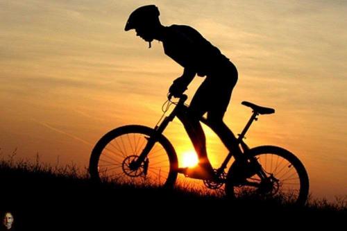 7 способов заработать, если велосипеды - твоя страсть!
