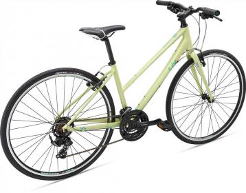 Женский велосипед Giant Alight 2 DD City Disc – Обзор модели, характеристики, отзывы