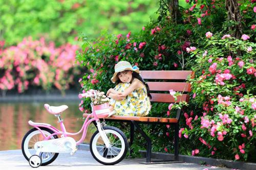 Велосипед для детей Royal Baby Little Swan New 14